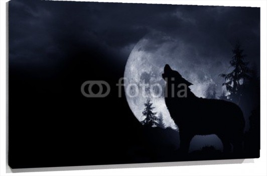 cartoon-wallpaper-22.jpg